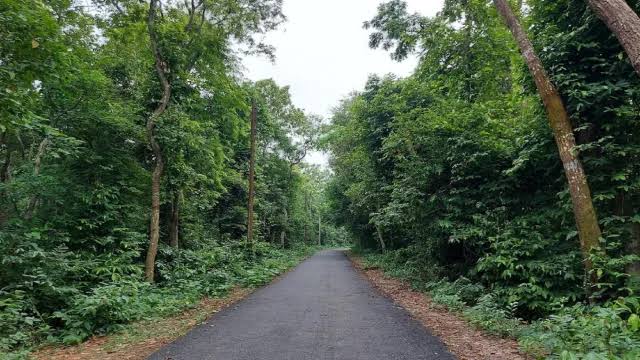 ময়মনসিংহ অঞ্চলের বনাঞ্চল